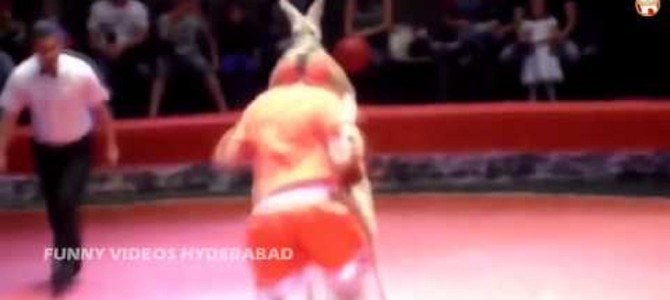 これがホントの異種格闘技戦！? カンガルー vs 人間