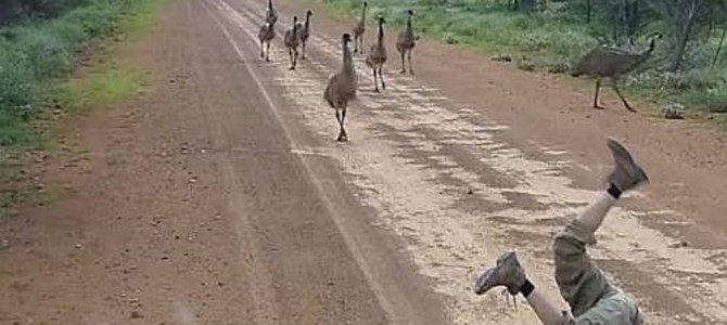 この男、ある動物を呼んでます！！