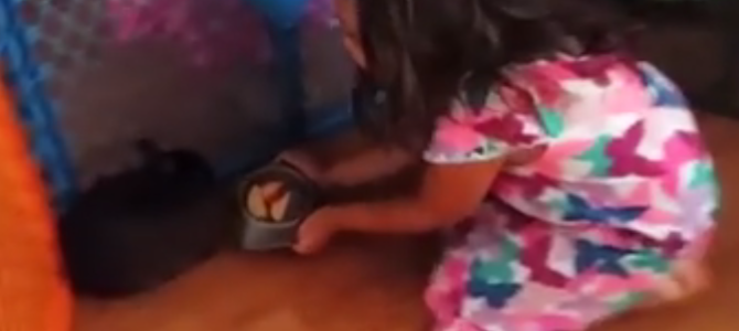 ウサギ「だが断る！」リンゴをあげるも断固拒否する姿に少女もメロメロ！