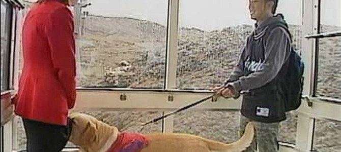 偶然が重なって奇跡の一コマになった放送事故集 偶然が重なって奇跡の一コマになった放送事故集