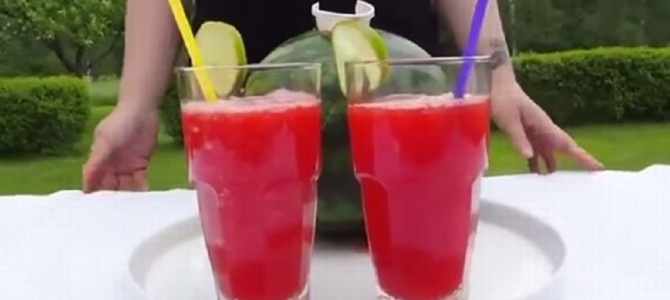 この発想はなかった！スイカまるごと100%ジュースの作り方！