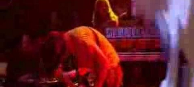 亀のマッサージにヘロヘロにとろけちゃう猫♪