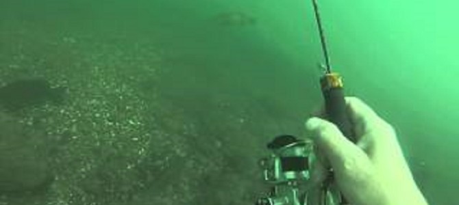 これは斬新！水中で魚を見ながらバス釣り！