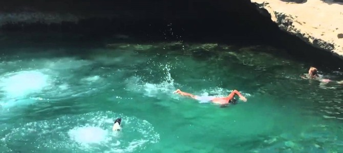 崖から水への飛び込みにワンコがチャレンジしてみた！