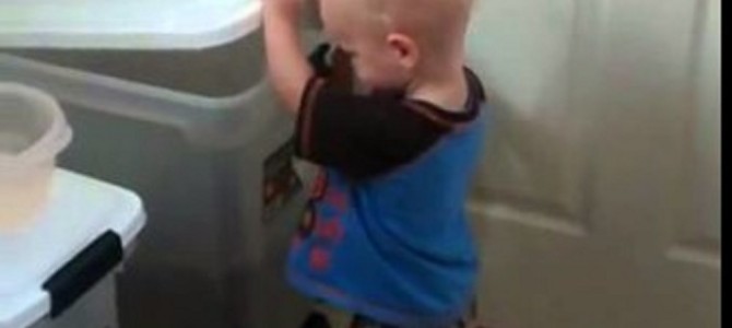 男の子が犬にエサをあげるために一生懸命なのが可愛い！