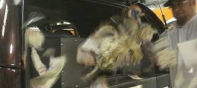 超強力なウーハーの重低音で、分厚い本がビリビリに破けちゃう！