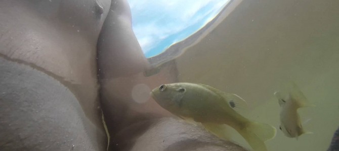 男性の乳首に飛びつく魚wwww