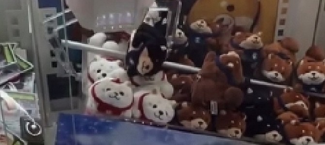 意外な方法で棚ごとごっそり頂く！？