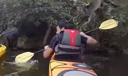 シーカヤックの最中にサルが襲撃してきた！