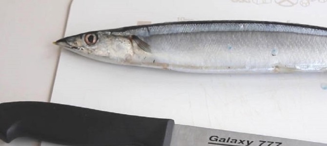 超簡単！サンマの内蔵を、お腹を切らずに一瞬で抜き取る「つぼ抜き」がスゴイ！