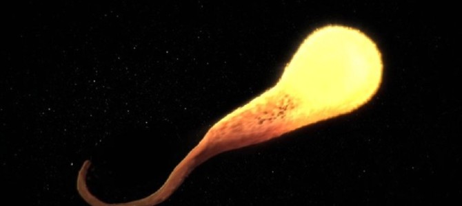 出産時の母体では何が起きている？ 分娩時の胎内の様子を可視化したアニメーション！