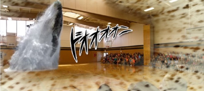 体育館にクジラが現れた！びっくり映像！！