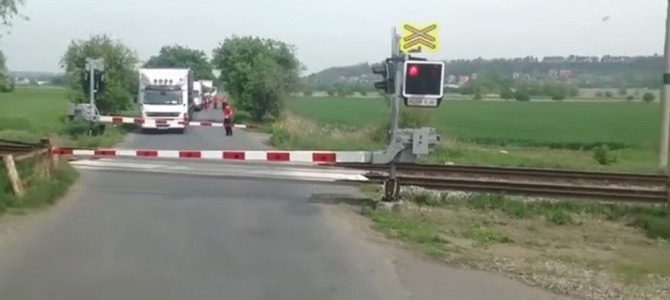 列車が来る！踏切で待っていたら予想外のヤツがやってきた！！