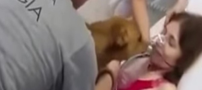 末期ガンの女性の最期の願い。大喜びの二人の姿に涙が止まらない。