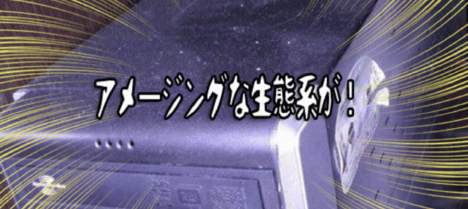 まさかの原因！パソコンが起動しないので中を調べたら、新たな生命体がいた