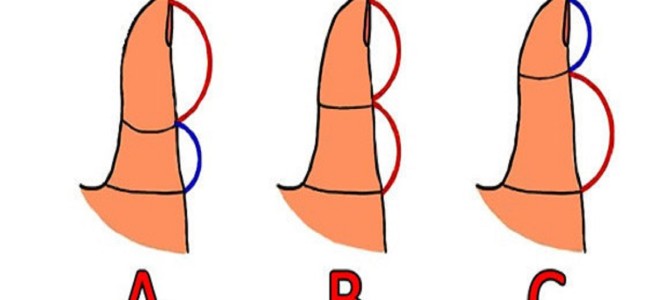 海外で流行ってる親指占い。親指の関節位置でわかるあなたの愛情・性格タイプ 海外で流行ってる親指占い。親指の関節位置でわかるあなたの愛情・性格タイプ