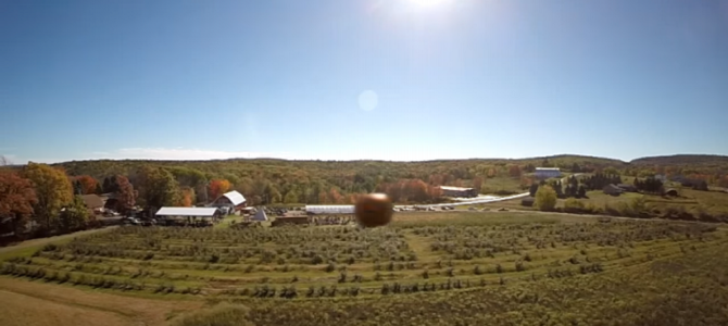 ドローンをカボチャで撃ち落とすという、意味不明な実験をした映像