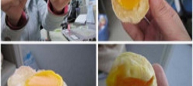 プラスチック米に段ボール肉まん…次から次へと出てくる驚愕の中国食品偽装まとめ