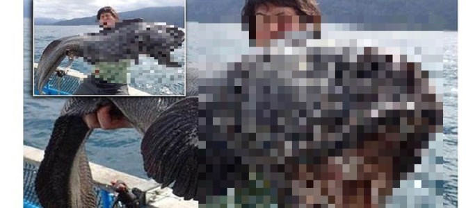 福島の放射能！？日本で化け物のような魚が捕獲されたと海外で話題になる