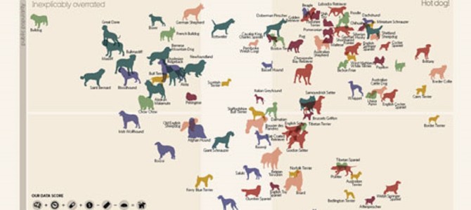 犬にもランキングがあった！犬種別ランキング早見表が話題