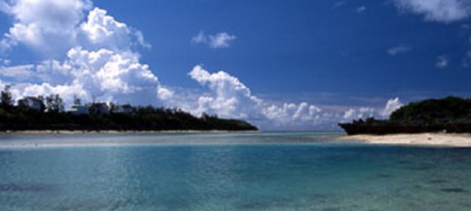 豪華客船の「碇」で美しいサンゴ礁が大きく傷つけられる！