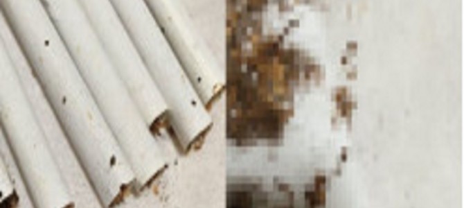 2年間放置されたタバコの中身を見ると、とんでもないことになっていた