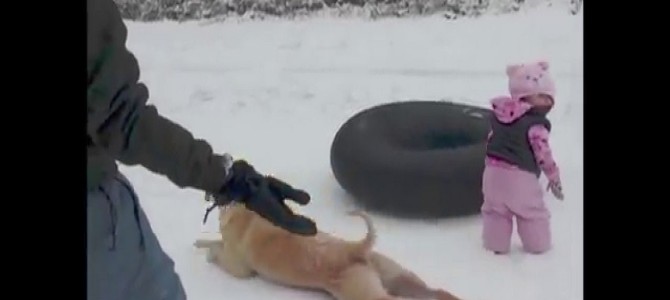 赤ちゃんに『雪の上を滑る方法』を教えるワンコ