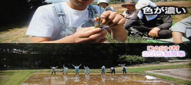 母ではなく、あの人の妻へ。TOKIO城島が指輪を贈った相手にDASH村の絆を感じる