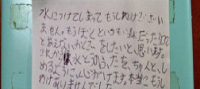 ニンテンドー3DSを水没させてしまった8歳の男の子。任天堂宛に書いた手紙が感動を呼んでいる