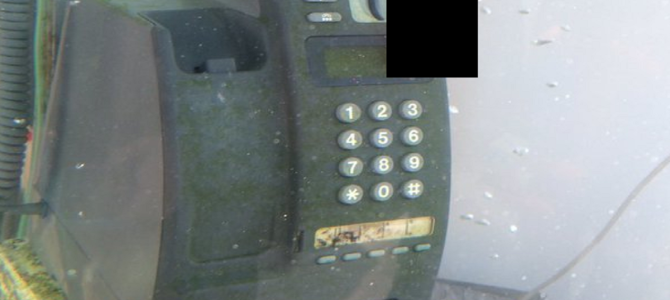 奈良の電話ボックスが水でいっぱいで中には○○が…