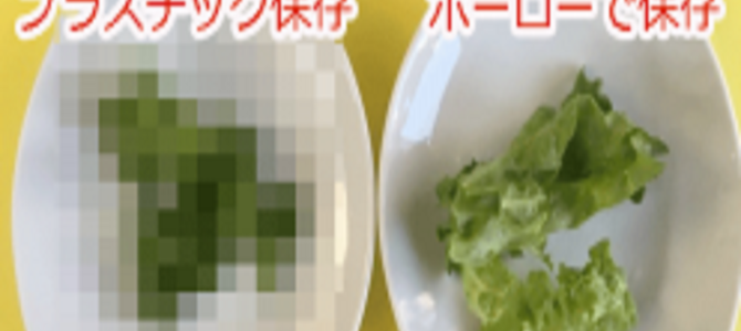 プラスチック容器とホーロー容器で野菜を3日間保存したらこうなった