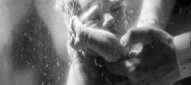 出産写真のプロ達が撮影したコンテスト作品に生命の神秘を感じる！