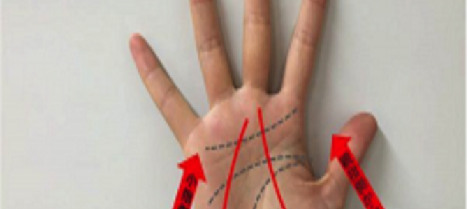 あなたの“運命線”どこからはじまる？成功をつかみとる8つの法則