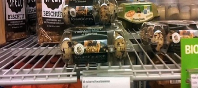 100万分の1の確率!?スーパーで買った12個入りの“うずらの卵”を温めてみたら 100万分の1の確率!?スーパーで買った12個入りの“うずらの卵”を温めてみたら