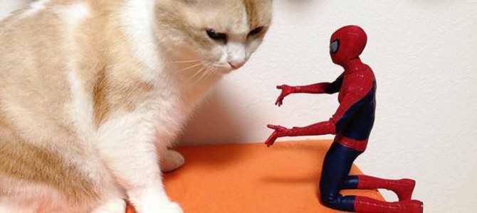 「仕事だよ。ホラ、行こう！」遊び心満載、ペットとフィギュアの共演画像