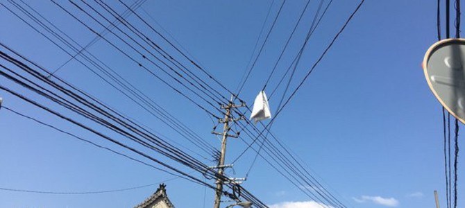 街で見かけた“嘘のようなマジの光景”