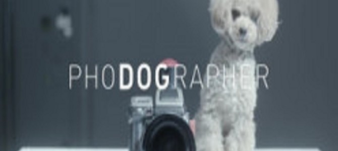 撮られる側の愛犬があなたの写真を撮ったら？そこには溢れる笑顔があった！
