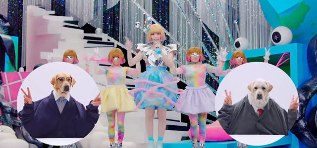 きゃりーぱみゅぱみゅのダンスを犬がレクチャー！？