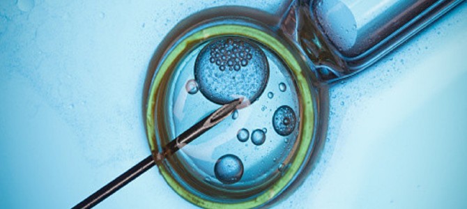 提供したら謝礼が出る！？精子バンク登録の条件と提供による妊娠・出産の裏話