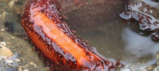 友達が出産した病院の特別室が…セレブを通り越してもはや“貴族”だったと話題に! 友達が出産した病院の特別室が…セレブを通り越してもはや“貴族”だったと話題に!