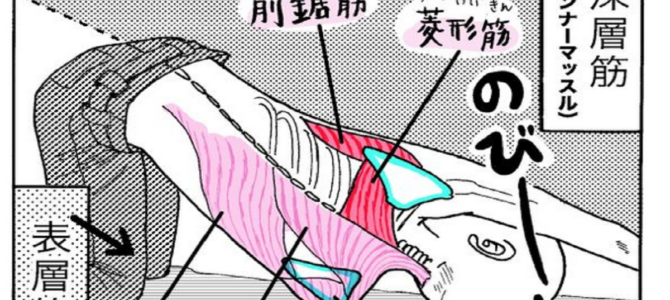 20秒でスッキリ!頑固な肩こりと腰痛は、「ネコひねりのポーズ」 20秒でスッキリ!頑固な肩こりと腰痛は、「ネコひねりのポーズ」