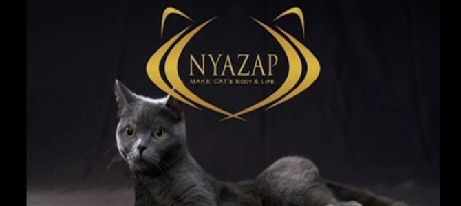 ライザップ→ニャーザップ！エイプリルフールに便乗、公式サイトまとめ2016