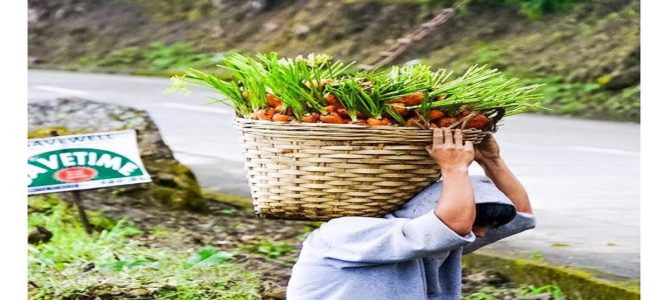 農家からモデルに転身！にんじん農家のお兄さん“キャロットマン”がカッコ良すぎる！