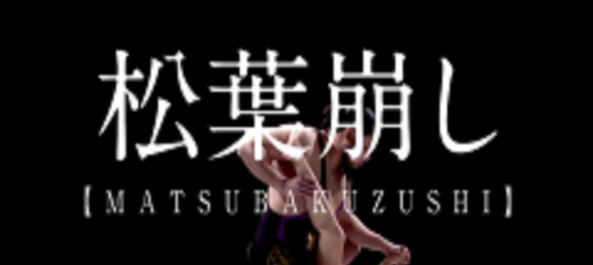 江戸時代に有名になったセックスの体位「48手」が映像化！これは分かりやすい！