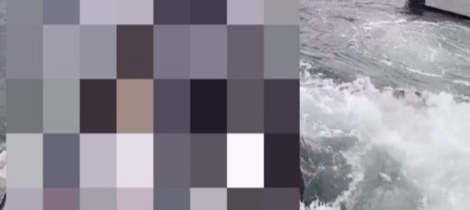 信じられない光景！桟橋で目の前に現れたザトウクジラの迫力がヤバイ！！