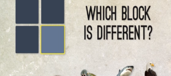 あなたの目は鷹レベルか？！動物と比較する色覚レベルテストが面白い