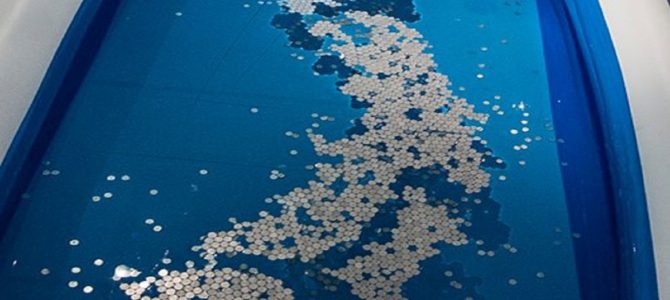 １円玉を水に浮かべて作る日本列島