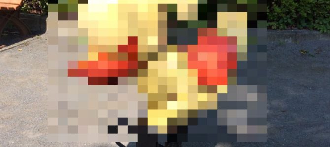 年中無休で働き続けた結果… 年中無休で働き続けた結果…