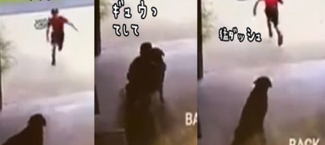 毎日ガレージに侵入し、犬を抱きしめてダッシュで帰っていく少年。その理由を知ると泣ける