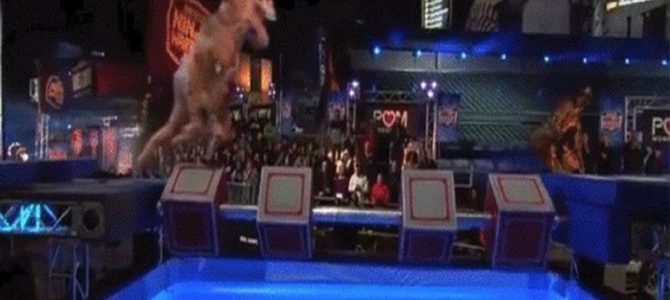 アメリカ版SASUKE「ニンジャ・ウォーリア」 アメリカ版SASUKE「ニンジャ・ウォーリア」